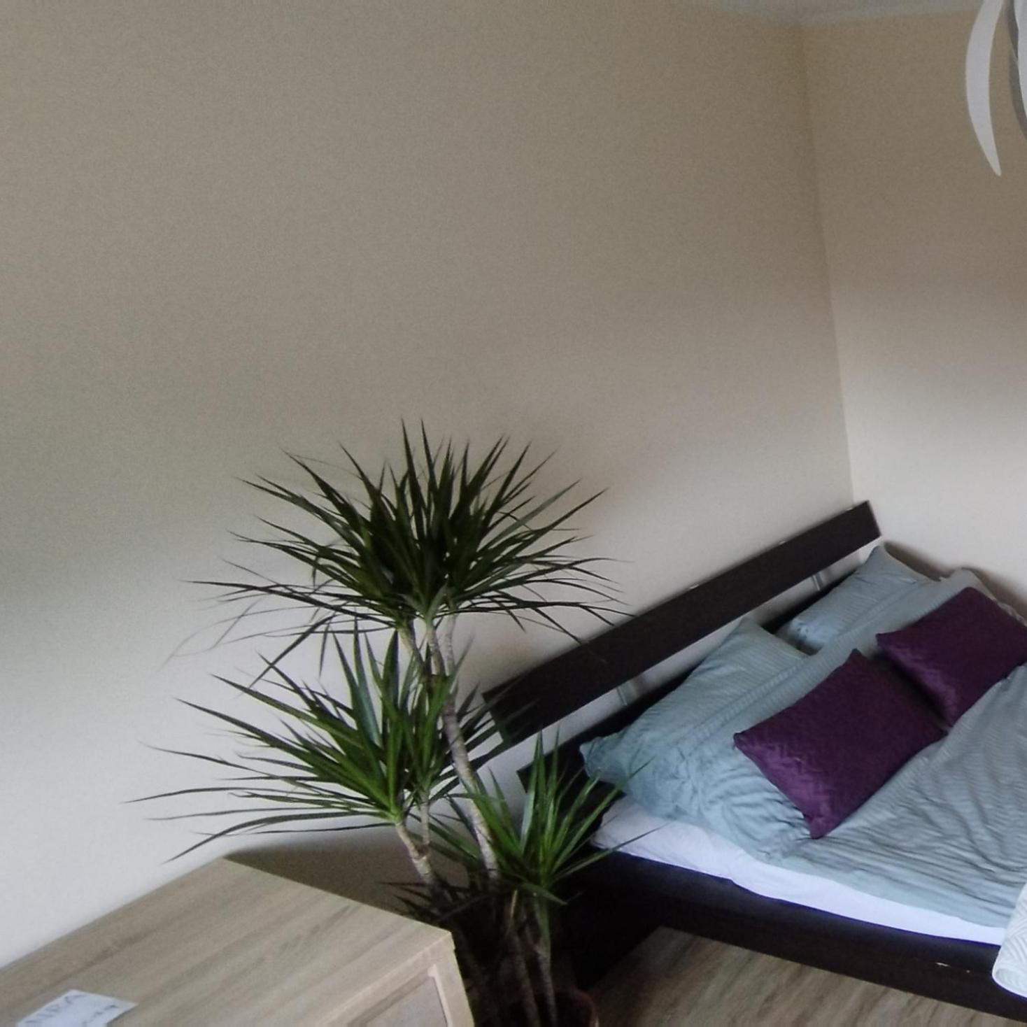 Apartament A8 Gdynia Orlowo Luaran gambar